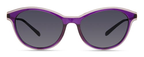 Modo 706 Sunglasses In Purple