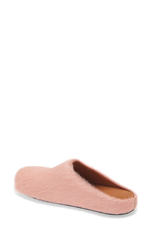 Marni Ssense Exclusive Pink Fussbett Sabot Loafers In Rose