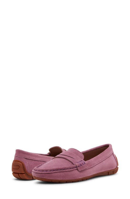Shop Blondo Sonni Driver Loafer In Lilac Suede