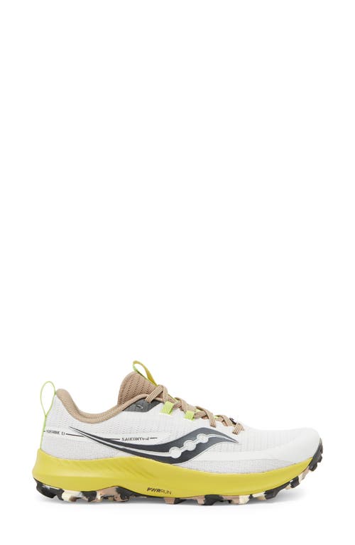 Saucony Peregrine 13 Running Shoe In Fog/clay