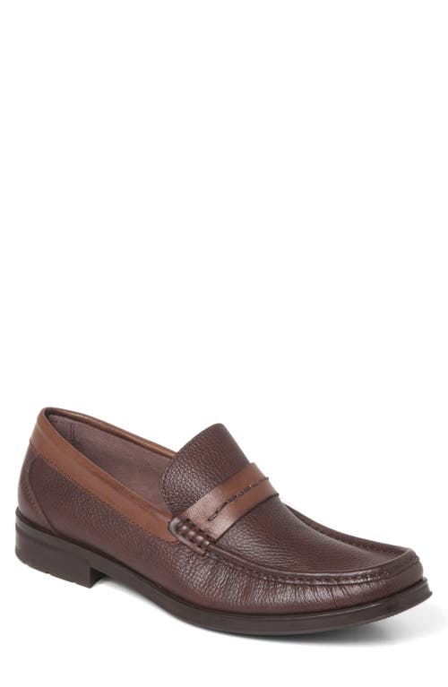 Shop Sandro Moscoloni Duero Loafer In Brown Leather