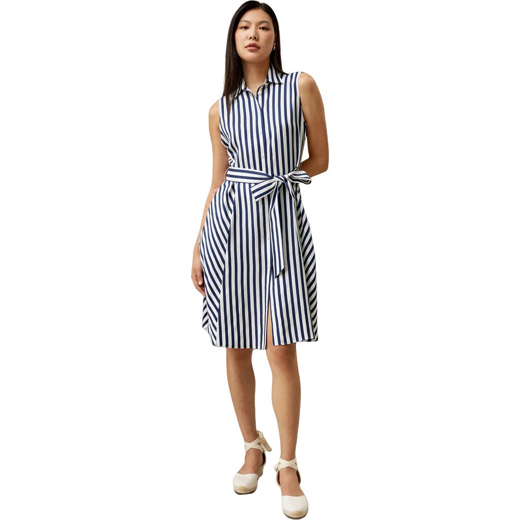 Shop Lilysilk Silk Striped Sleeveless Dress In Blue-white-pinstripes