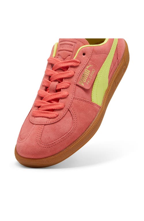 Puma Palermo Leather Sneaker In Salmon-lime Sheen-gum
