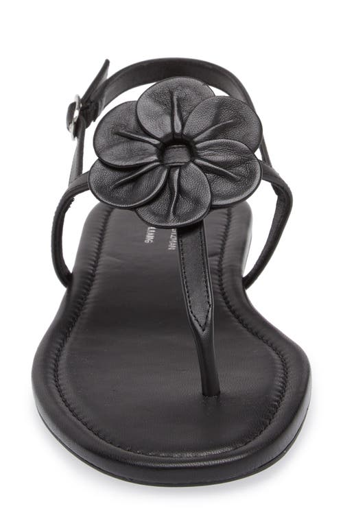 Stuart Weitzman X Sandy Liang T-strap Slingback Sandal In Black Smooth Calf