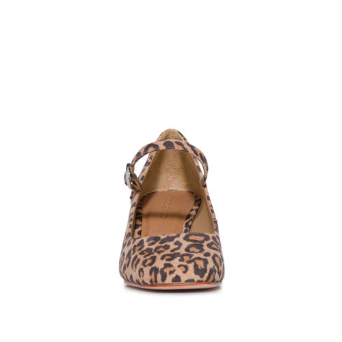 Shop Bernardo Footwear Ancona Block Heel Mary Jane In Sand Cheetah