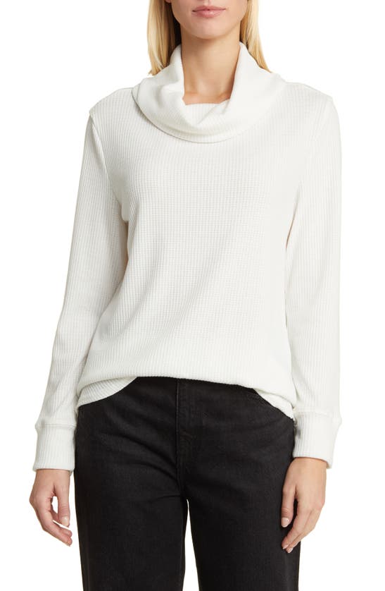 Caslon Cowl Neck Waffle Knit Tunic Top In Ivory Cloud