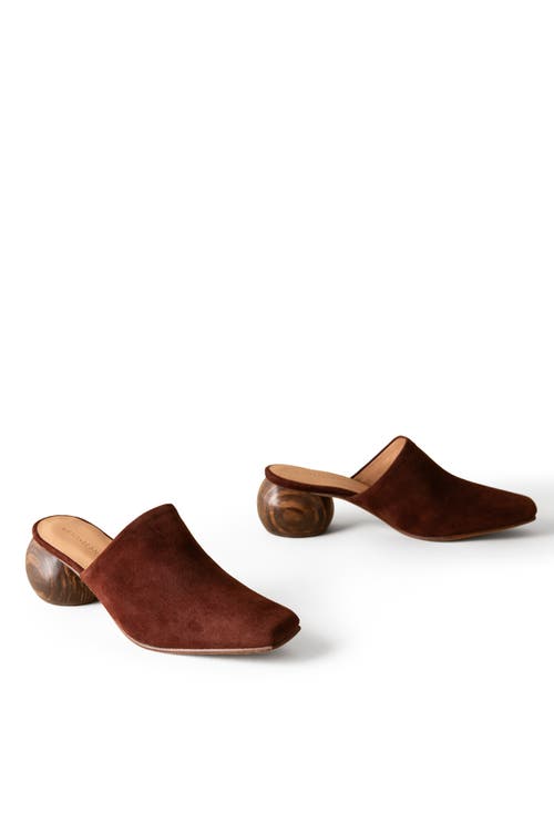 Huma Blanco Mina Mule In Chocolate Suede
