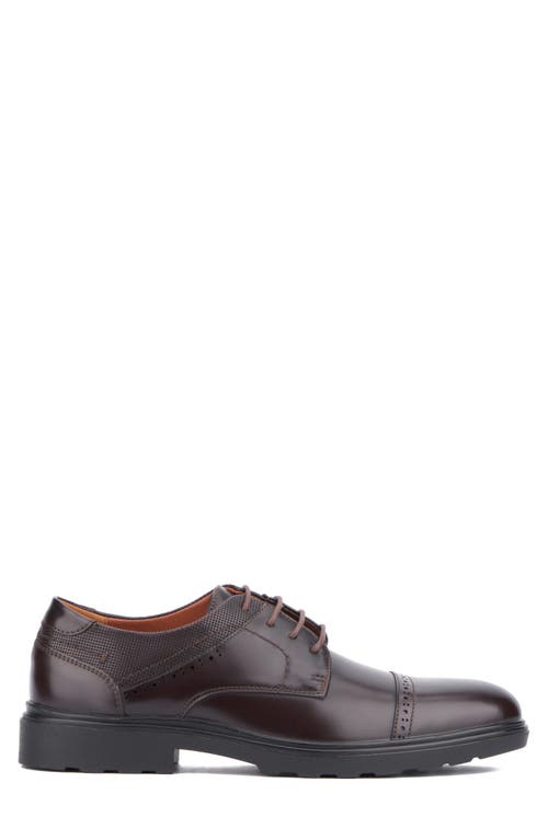 X-ray Xray Dawson Brogue Derby In Coffee Bean