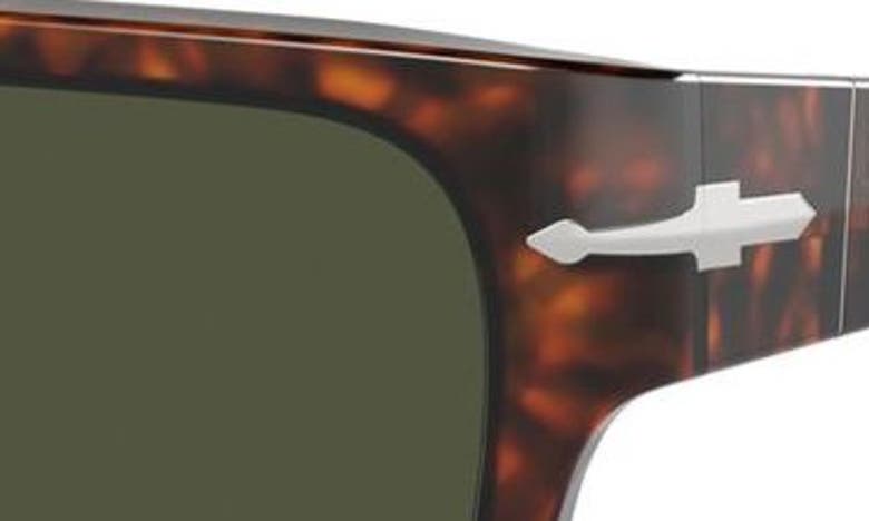 Shop Persol 57mm Round Sunglasses In Havana