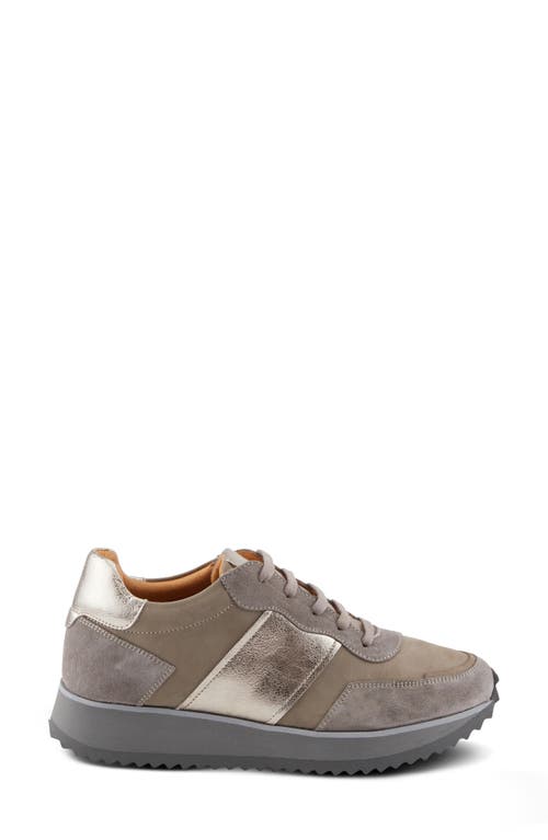 Spring Step Compter Sneaker In Grey Suede