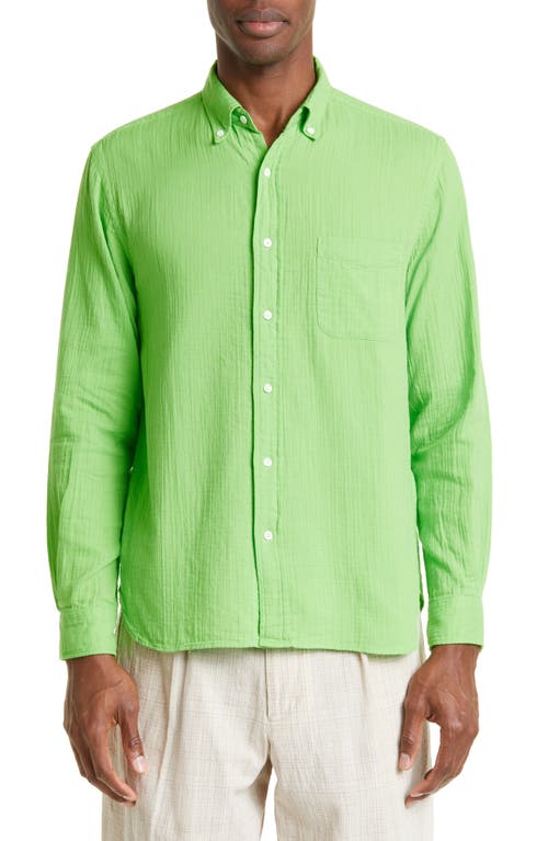 BEAMS B.D. Double Gauze Button-Down Shirt in Green 65
