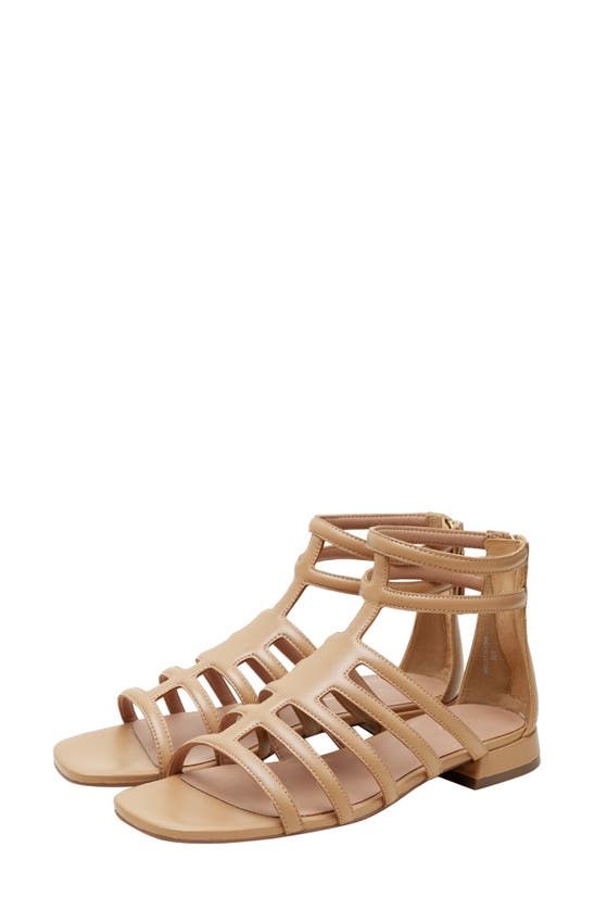 Shop Linea Paolo Lital Strappy Sandal In Desert