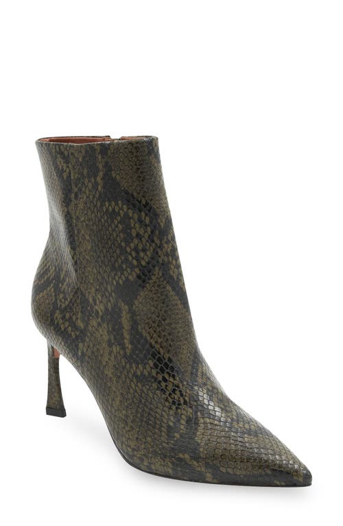 Pia Pointed Toe Bootie in Green Snake