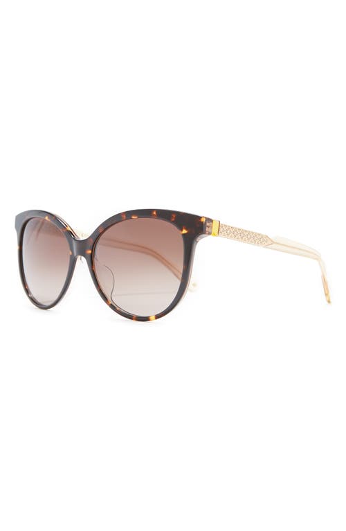 Shop Kate Spade New York Kinsley 55mm Cat Eye Sunglasses In Dark Havana/brown Gradient