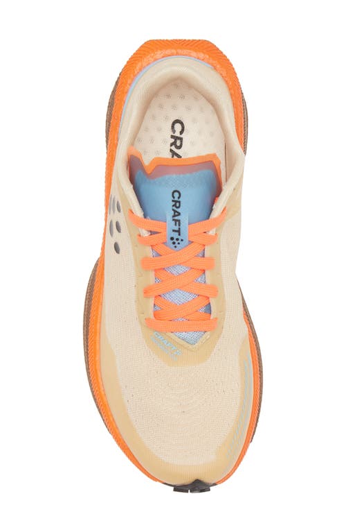 Craft Endurance Trail Running Shoe In Ecru-roots