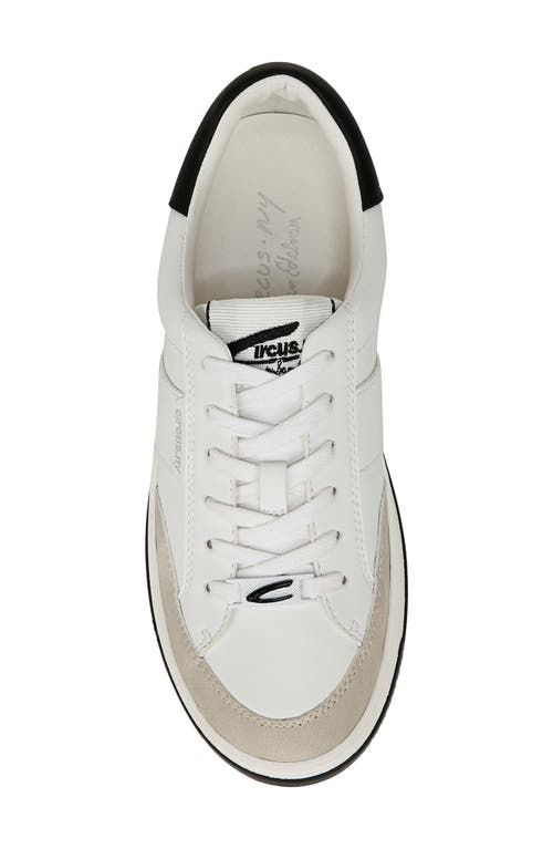 Shop Circus Ny By Sam Edelman Vance Sneaker In Bright White/black