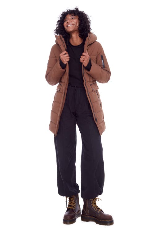 Shop Alpine North Kootney In Maple