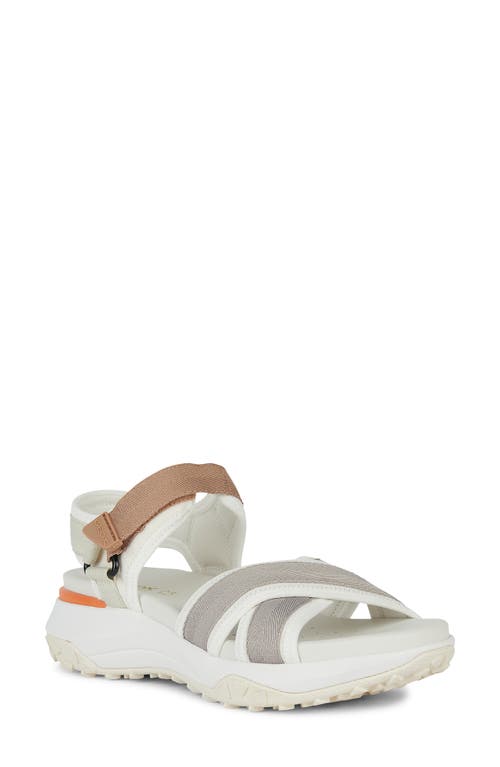 Geox Sorapis Grip Sandal In White/grey