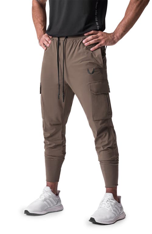 ASRV Tetra-Light Cargo Joggers at Nordstrom,