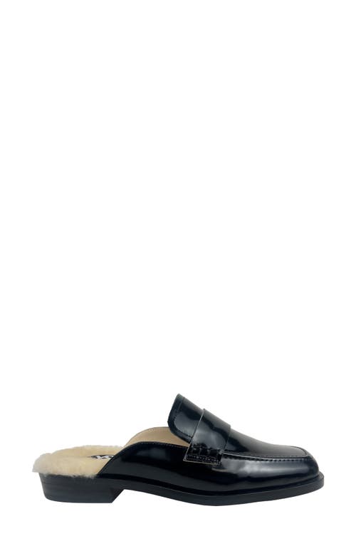 Shop Yosi Samra Odessa Genuine Shearling Lined Loafer In Black Shearling