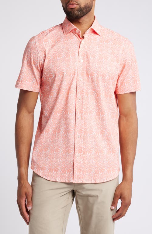 Shop Emanuel Berg 4flex Modern Fit Leaf Print Short Sleeve Knit Button-up Shir In Bright Pink