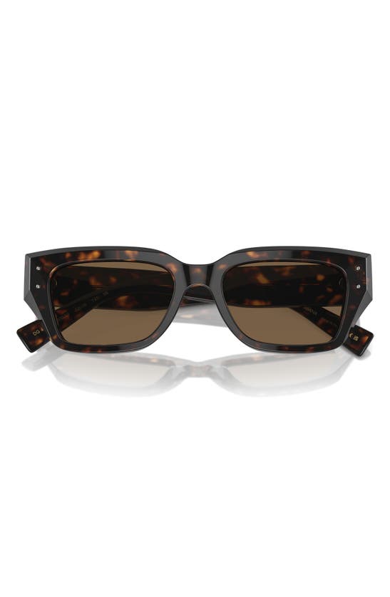 Dolce & Gabbana 52mm Cat Eye Sunglasses In Havana