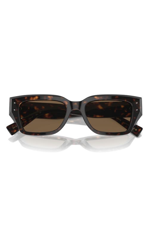 Dolce & Gabbana 52mm Cat Eye Sunglasses in Havana at Nordstrom