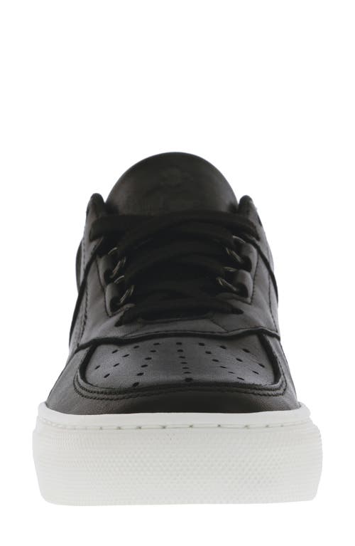 Sas High Street X Sneaker In Black Multi
