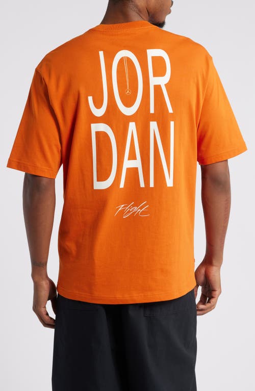 JORDAN JORDAN X DARIEN BIRKS ARTIST SERIES COTTON GRAPHIC T-SHIRT 