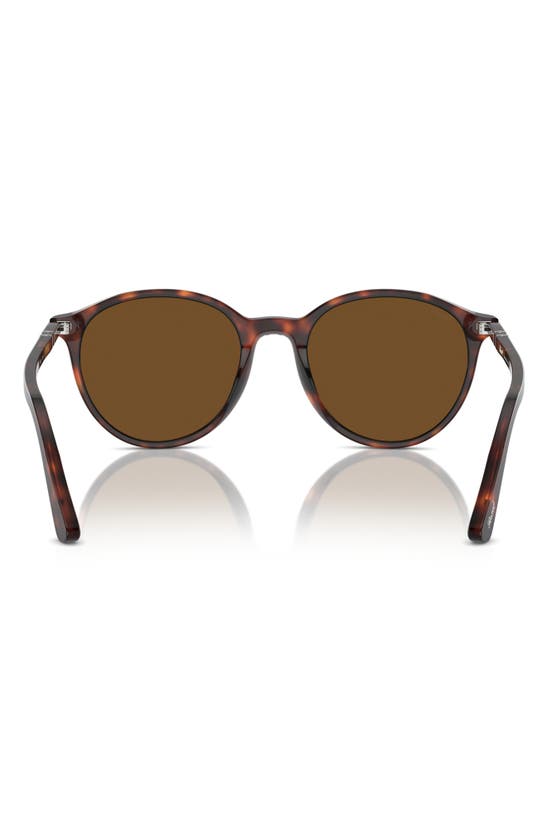 Persol Phantos 56mm Polarized Round Sunglasses In Havana