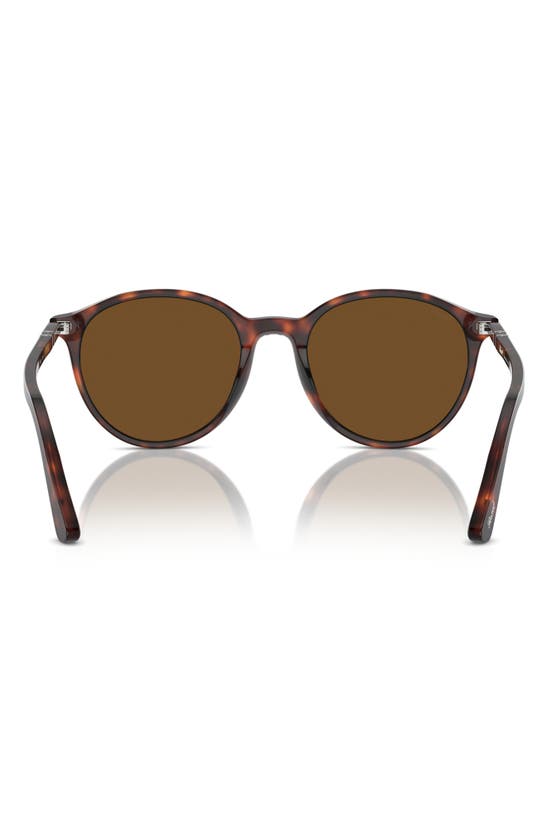 Shop Persol Phantos 56mm Polarized Round Sunglasses In Havana