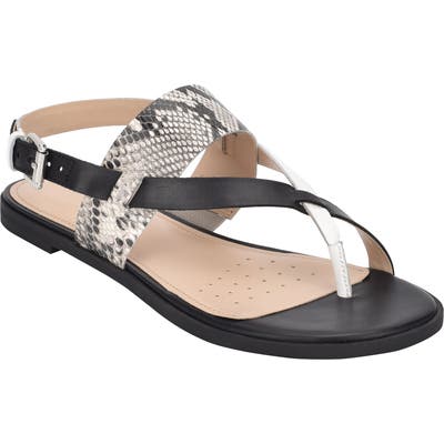 Evolve Avah Toe Loop Sandal, Black
