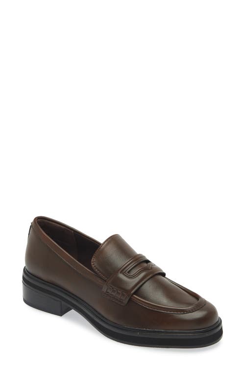 Shop Open Edit Collier Penny Loafer In Brown Chocolate