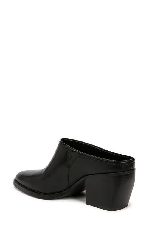 Naturalizer Fairmont Pointed Toe Mule In Black