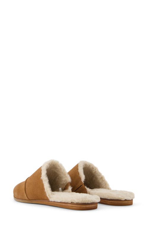 Shop Toms Jade Mule In Brown/faux Fur