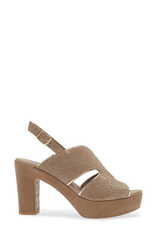 Cordani Toni Slingback Sandal In Fango Shimmer