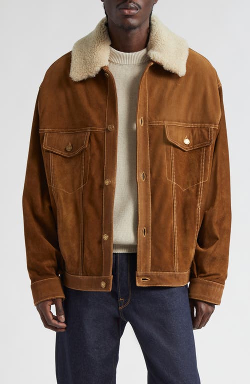 Shop Golden Goose Journey Suede Trucker Jacket With Removable Faux Shearling Collar In Tobacco Brown