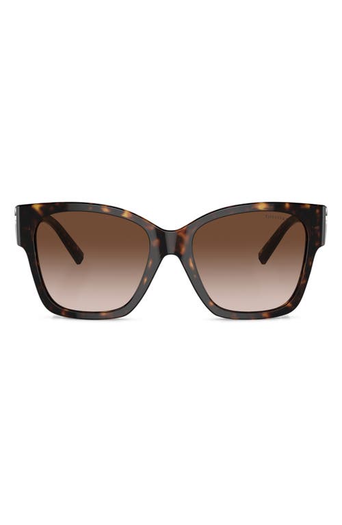 Tiffany & Co. 54mm Gradient Square Sunglasses in Havana at Nordstrom