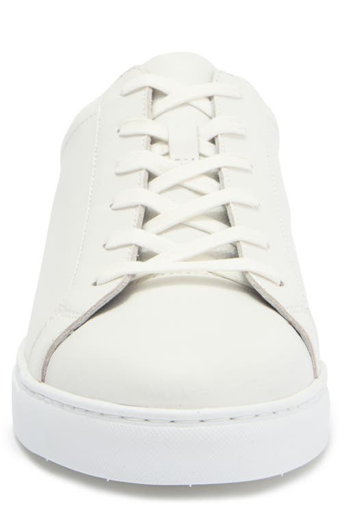 Vittorio Russo Adan Low Top Sneaker In Tumbled/valentina White/nut