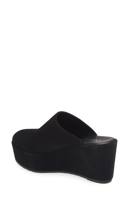 Cordani Jules Platform Mule In Black Suede