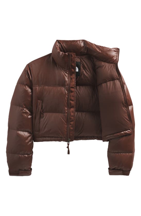 The North Face Nuptse Water Repellent 700 Fill Power Down Short Puffer Jacket In Dark Oak