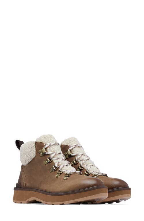 Shop Sorel Hi-line Cozy Lace-up Hiking Boot In Umber/tawny Buff