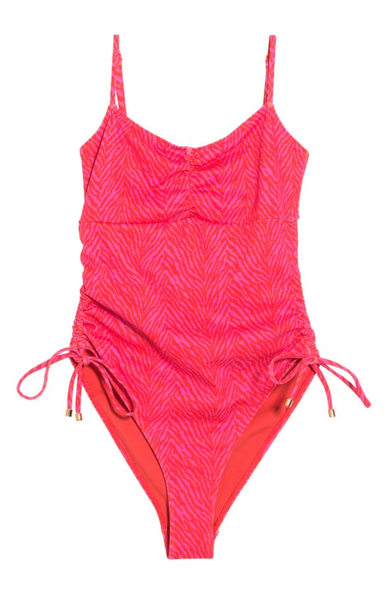 Charlie Holiday Isidora One-piece Swimsuit In Zebra