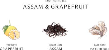 Assam & grapefruit discount cologne