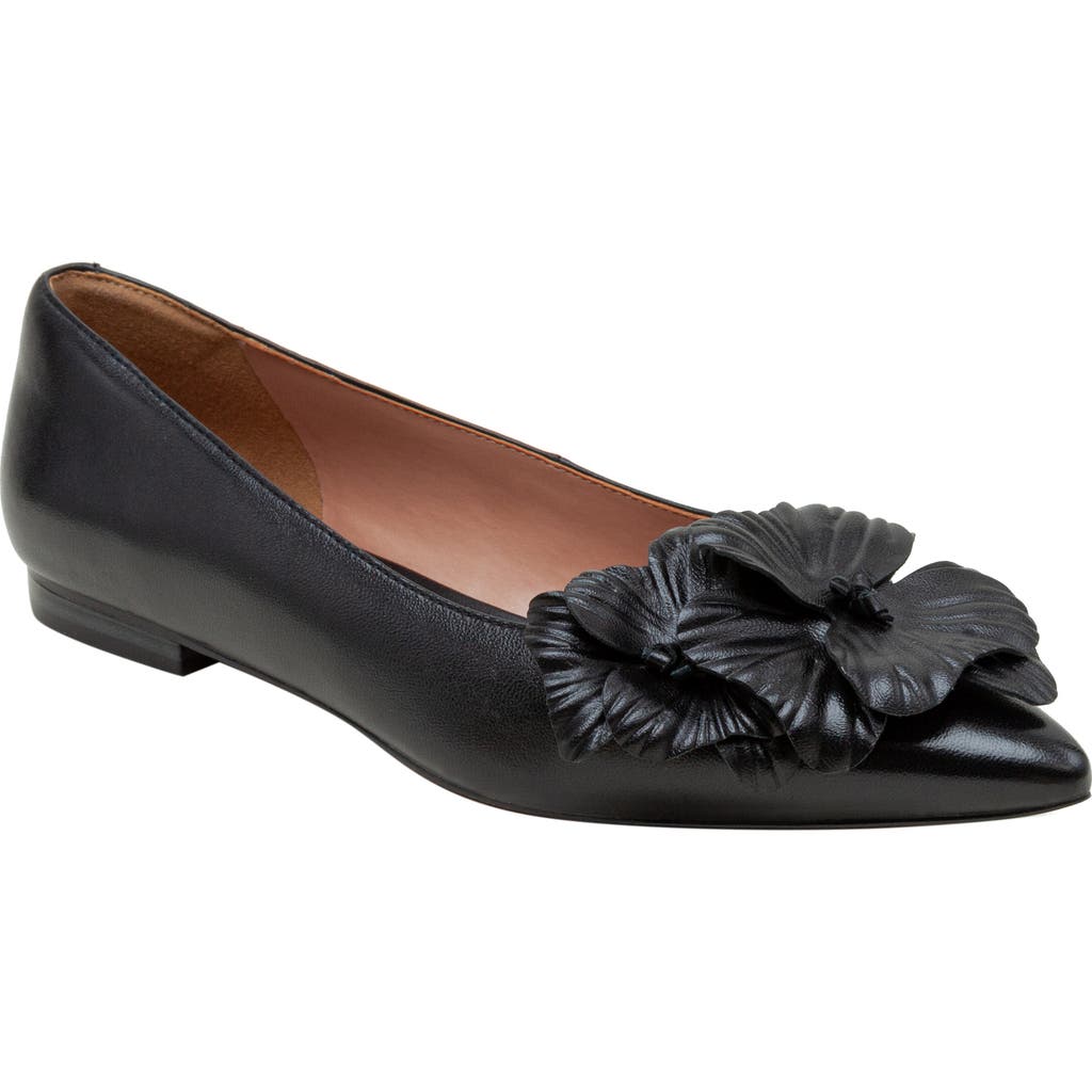 Linea Paolo Nerine Pointed Toe Flat In Black