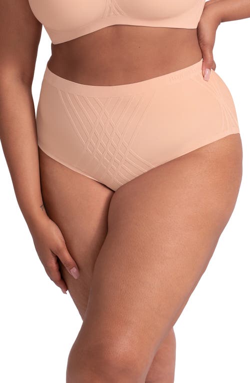 Silhouette Shaping Briefs in Rose Tan