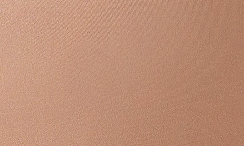 Wacoal Inner Sheen High Cut Bikini In Roebuck