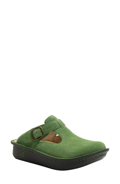 Classic Clog in Olive You