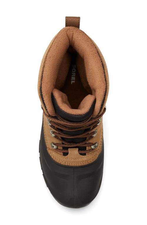 Sorel Buxton Lace Boots In Delta/black