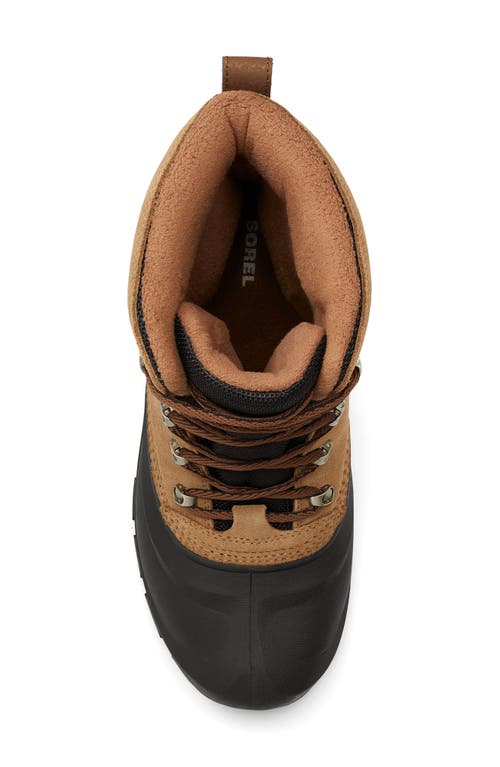 Shop Sorel Buxton Waterproof Snow Boot In Delta/black